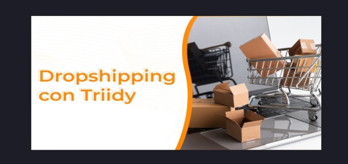Dropshipping con Triidy