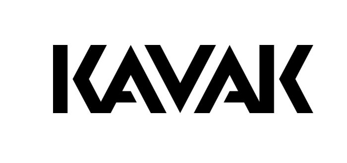 Kavak, una de las startups mexicanas más exitosas