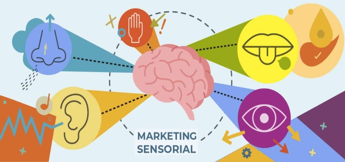 Qué es el marketing sensorial