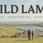 Wild Lama | La empresa que transforma el sector retail chileno Wild Lama